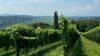 Westlich ausgerichtete Eck-Balkonwohnung mit wundervoller Aussicht! 20 km südlich von Graz im Bezirk Leibnitz! - EQTM8039